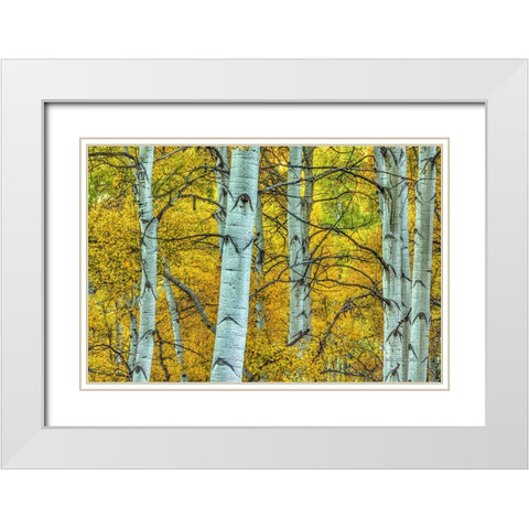 Chaotic Beauty White Modern Wood Framed Art Print with Double Matting by Sherrell, Bill