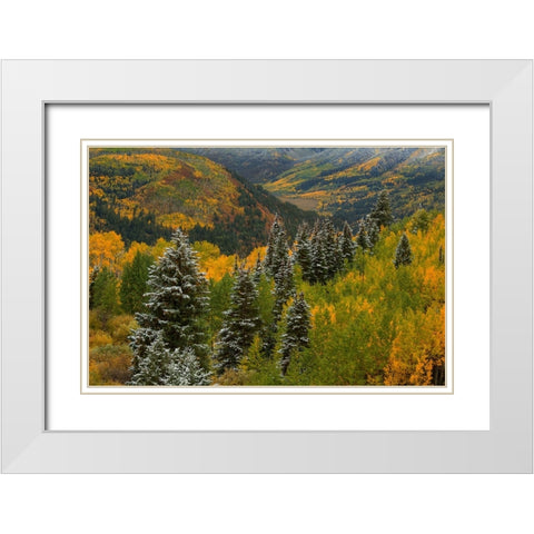 Christmas Tree Autumn White Modern Wood Framed Art Print with Double Matting by Sherrell, Bill