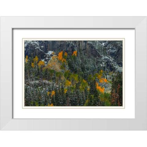 Color Splash White Modern Wood Framed Art Print with Double Matting by Sherrell, Bill