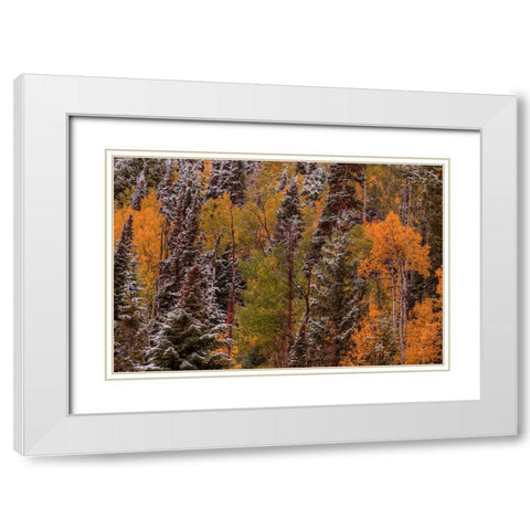 Contrasts White Modern Wood Framed Art Print with Double Matting by Sherrell, Bill