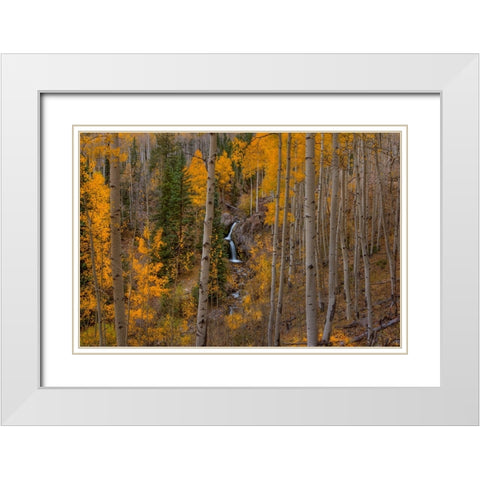 Falling Treasure White Modern Wood Framed Art Print with Double Matting by Sherrell, Bill
