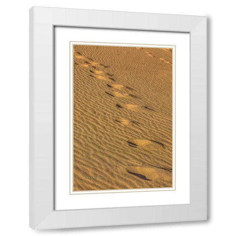 Footprints In The Sand White Modern Wood Framed Art Print with Double Matting by Sherrell, Bill