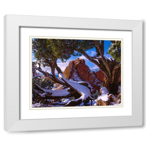 Framed By Nature White Modern Wood Framed Art Print with Double Matting by Sherrell, Bill