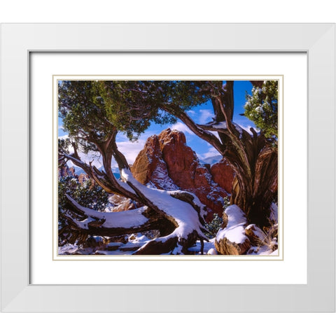 Framed By Nature White Modern Wood Framed Art Print with Double Matting by Sherrell, Bill