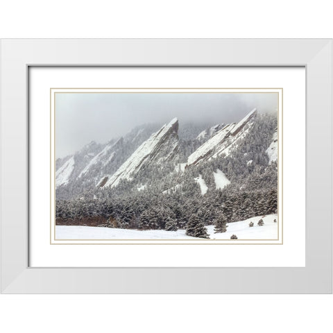 Frozen Rapture White Modern Wood Framed Art Print with Double Matting by Sherrell, Bill