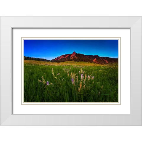 Glowing Flatirons And Wildflowers White Modern Wood Framed Art Print with Double Matting by Sherrell, Bill