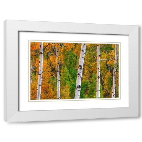 Lines Of Grace White Modern Wood Framed Art Print with Double Matting by Sherrell, Bill