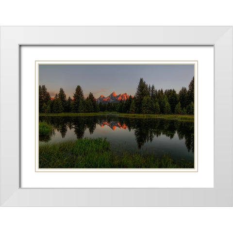 Morning Glory White Modern Wood Framed Art Print with Double Matting by Sherrell, Bill
