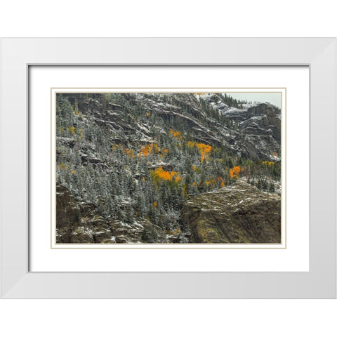Mountain Lace And Autumn Pockets White Modern Wood Framed Art Print with Double Matting by Sherrell, Bill