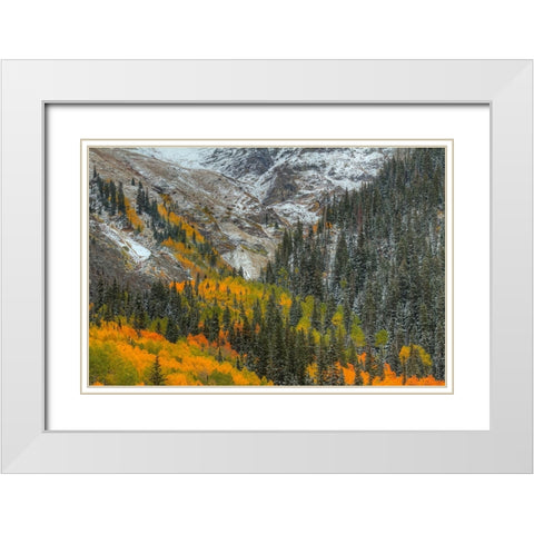 Mountains And Aspens White Modern Wood Framed Art Print with Double Matting by Sherrell, Bill