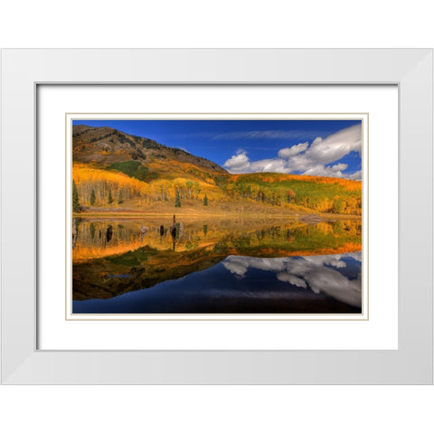 Reflecting On Autumn White Modern Wood Framed Art Print with Double Matting by Sherrell, Bill