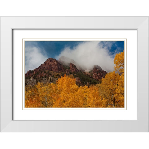 Ruggedness Unveiled White Modern Wood Framed Art Print with Double Matting by Sherrell, Bill