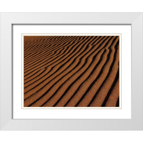 Sand Ripples White Modern Wood Framed Art Print with Double Matting by Sherrell, Bill