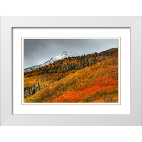 Shades Of Autumn White Modern Wood Framed Art Print with Double Matting by Sherrell, Bill