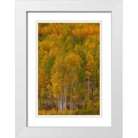 Standing Proud White Modern Wood Framed Art Print with Double Matting by Sherrell, Bill