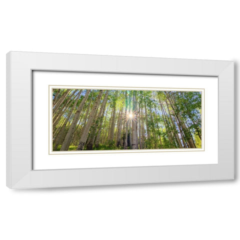 Starshine White Modern Wood Framed Art Print with Double Matting by Sherrell, Bill