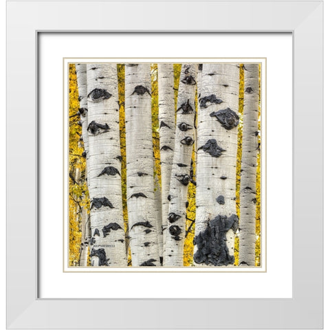 Strength In Numbers White Modern Wood Framed Art Print with Double Matting by Sherrell, Bill