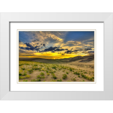 The Edge Of Life White Modern Wood Framed Art Print with Double Matting by Sherrell, Bill