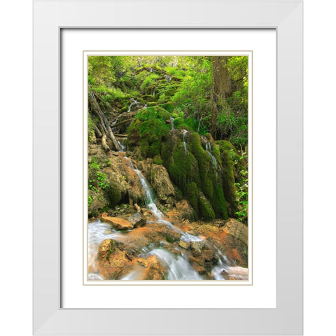 Tiers Of Joy White Modern Wood Framed Art Print with Double Matting by Sherrell, Bill