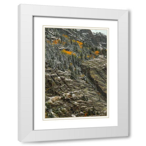 White Lace And Autumn Slivers White Modern Wood Framed Art Print with Double Matting by Sherrell, Bill