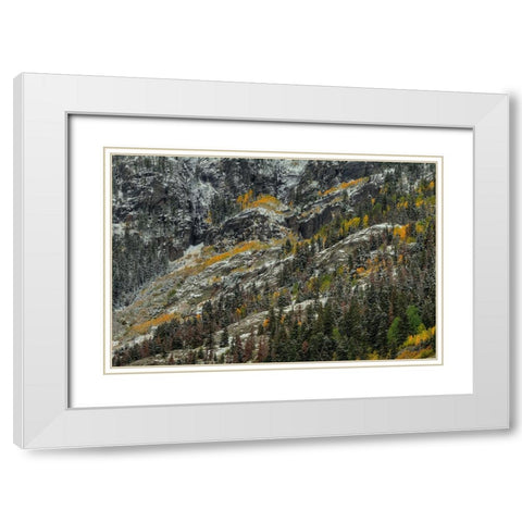 White Lace And Colored Ridges White Modern Wood Framed Art Print with Double Matting by Sherrell, Bill