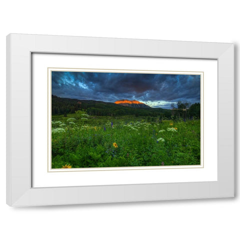 Wildflowers And Mountain Majesty White Modern Wood Framed Art Print with Double Matting by Sherrell, Bill