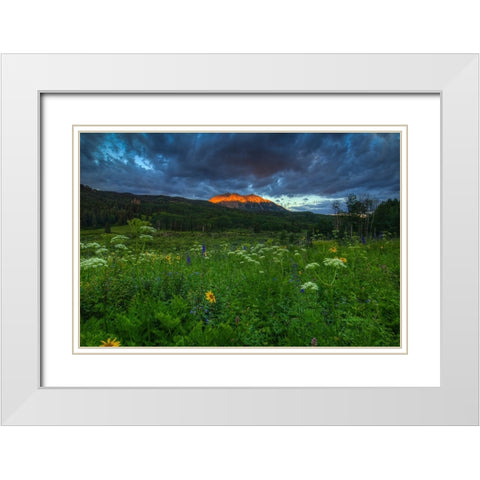 Wildflowers And Mountain Majesty White Modern Wood Framed Art Print with Double Matting by Sherrell, Bill