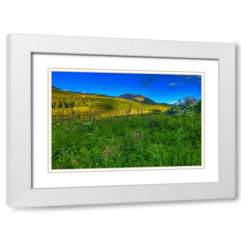 Wildflowers And Windows Of Light White Modern Wood Framed Art Print with Double Matting by Sherrell, Bill