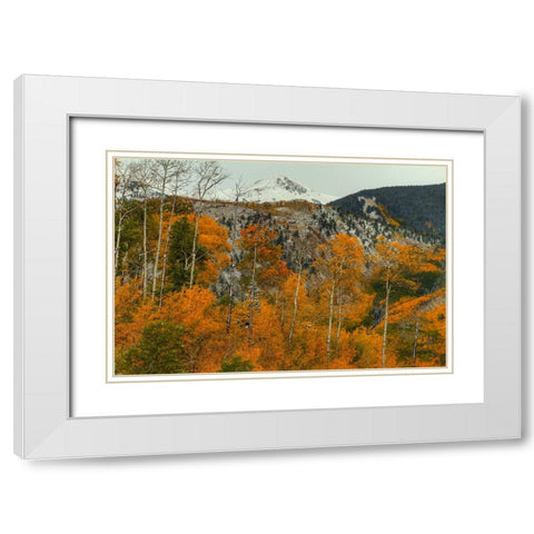 Aspen Outlines White Modern Wood Framed Art Print with Double Matting by Sherrell, Bill