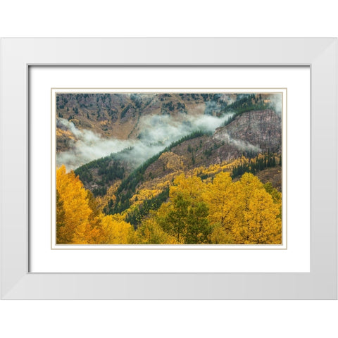 Autumn Creation White Modern Wood Framed Art Print with Double Matting by Sherrell, Bill
