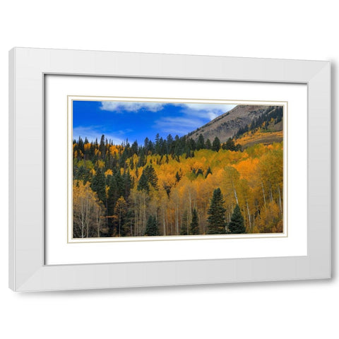 Autumn Dream White Modern Wood Framed Art Print with Double Matting by Sherrell, Bill
