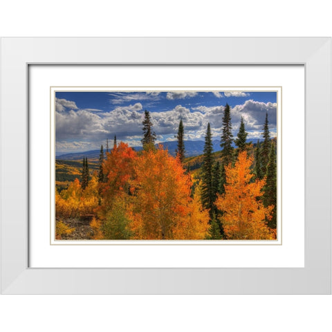 Autumn Fire At Ohio Pass White Modern Wood Framed Art Print with Double Matting by Sherrell, Bill