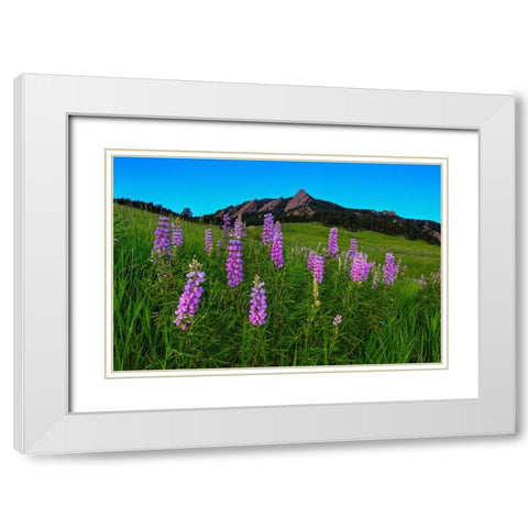 Spring Wildflowers At The Flatirons White Modern Wood Framed Art Print with Double Matting by Sherrell, Bill