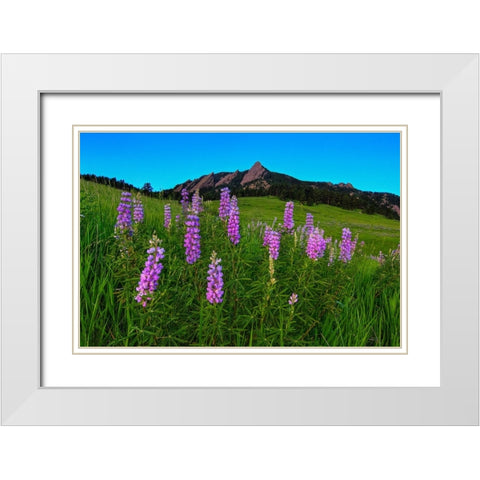 Spring Wildflowers At The Flatirons White Modern Wood Framed Art Print with Double Matting by Sherrell, Bill