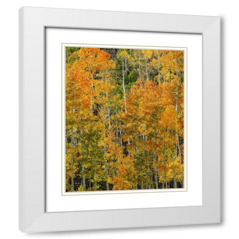 Transcending Illumination White Modern Wood Framed Art Print with Double Matting by Sherrell, Bill