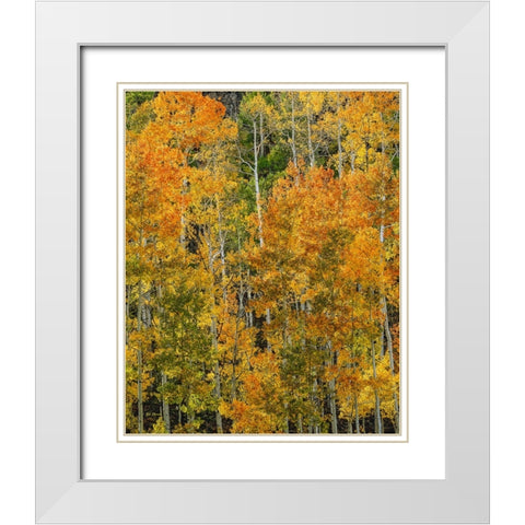 Transcending Illumination White Modern Wood Framed Art Print with Double Matting by Sherrell, Bill
