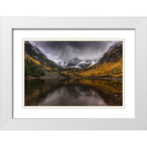 Violent Autumn White Modern Wood Framed Art Print with Double Matting by Sherrell, Bill
