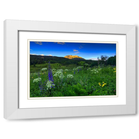 Wildflower Mountain Sunrise White Modern Wood Framed Art Print with Double Matting by Sherrell, Bill