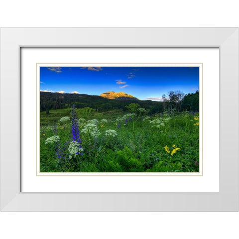 Wildflower Mountain Sunrise White Modern Wood Framed Art Print with Double Matting by Sherrell, Bill
