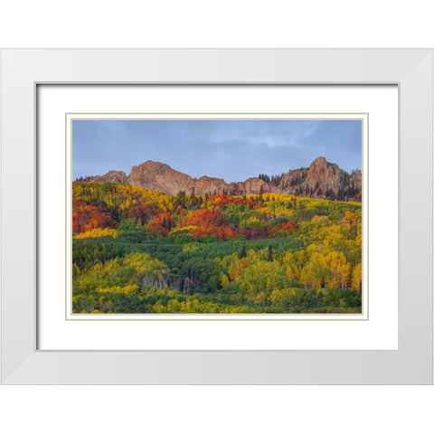 A Crown Of Color White Modern Wood Framed Art Print with Double Matting by Sherrell, Bill
