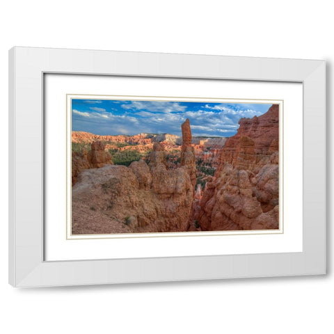 A Journey Through Bryce Canyon-Utah White Modern Wood Framed Art Print with Double Matting by Sherrell, Bill