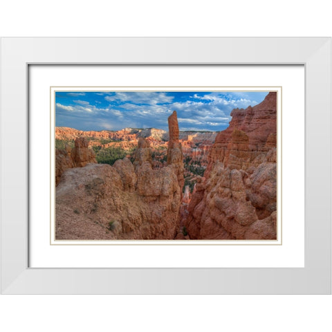 A Journey Through Bryce Canyon-Utah White Modern Wood Framed Art Print with Double Matting by Sherrell, Bill