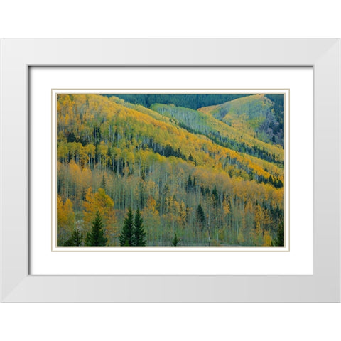 Aspen Escalators White Modern Wood Framed Art Print with Double Matting by Sherrell, Bill