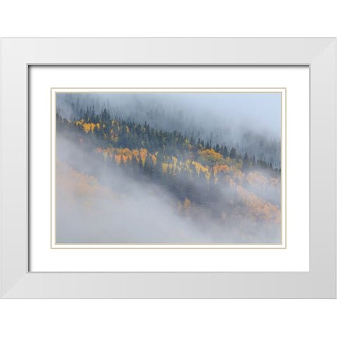 Autumn Epithany 2 White Modern Wood Framed Art Print with Double Matting by Sherrell, Bill