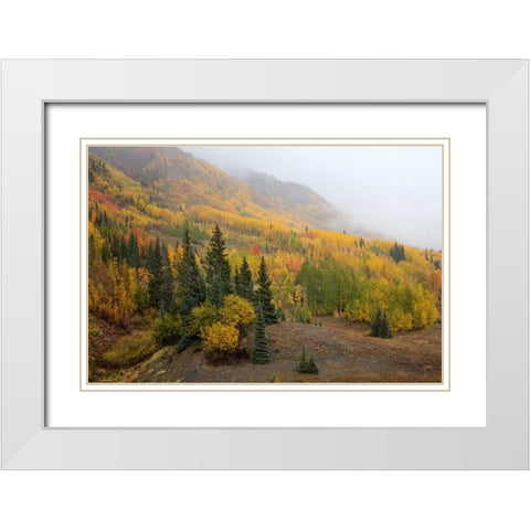 Autumn Majesty Unveiled White Modern Wood Framed Art Print with Double Matting by Sherrell, Bill