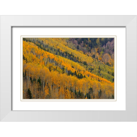 Autumn Rows White Modern Wood Framed Art Print with Double Matting by Sherrell, Bill