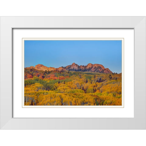 Autumn Showcase 1 White Modern Wood Framed Art Print with Double Matting by Sherrell, Bill