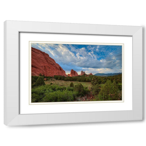 Beauty Eternal White Modern Wood Framed Art Print with Double Matting by Sherrell, Bill