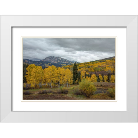 In Love With Fall Again White Modern Wood Framed Art Print with Double Matting by Sherrell, Bill