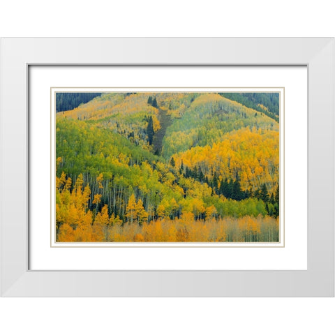 Kaleidoscope Autumn White Modern Wood Framed Art Print with Double Matting by Sherrell, Bill